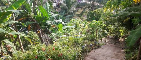 Overnattingsstedets uteområder