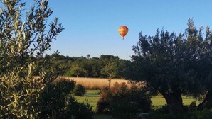 Heißluftballon über einer ländlichen Landschaft mit Olivenbäumen und einer Steinmauer.