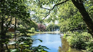 A serene park with a pond, surrounded by lush greenery and trees.