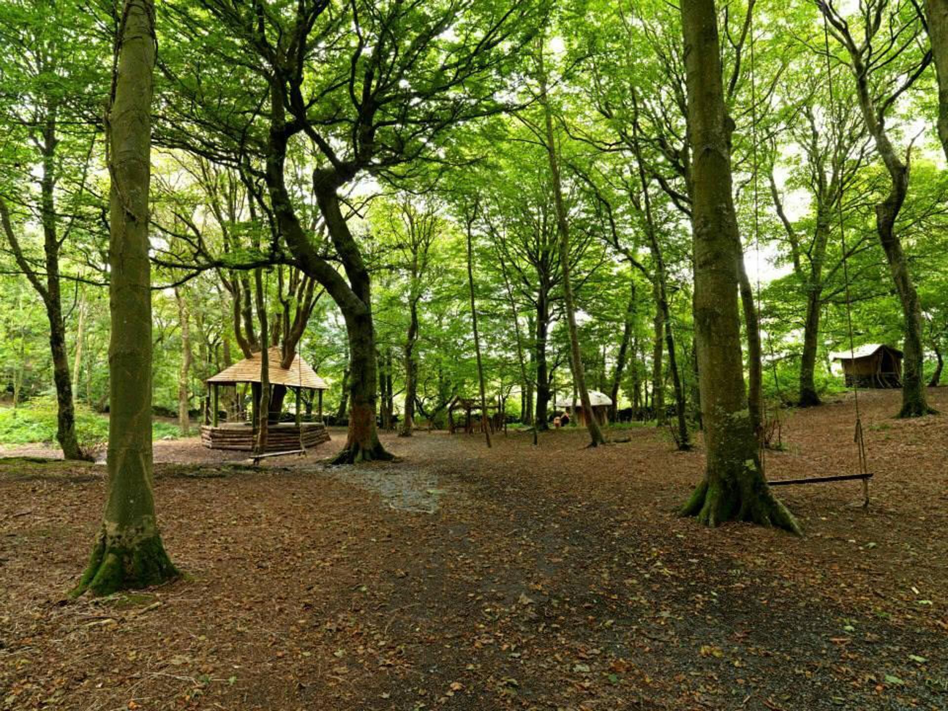 Cabin | Property grounds