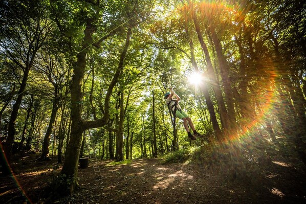 A forest with a person swinging on a rope. - 17 'talitha' Bell Tent Glamping Anglesey (Holyhead)