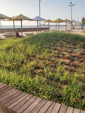 Een strandgebied met een houten terras, stukjes gras en strandparasols.