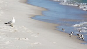Una playa cerca