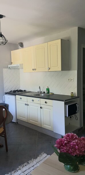 Fridge, microwave, stovetop, coffee/tea maker - Appartement Duplex Avec vue sur la Montagne (Saint-Nectaire)
