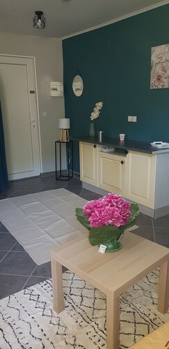 Appartement duplex avec vue sur la montagne