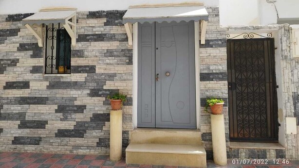 Fachada d'un edifici amb una porta gris, mur de pedra i dues plantes en testos.