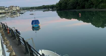 Crabshell Quay Kingsbridge Apartment with a balcony right on the river