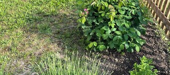 stylish holiday home, close to the cycle path and the vineyards