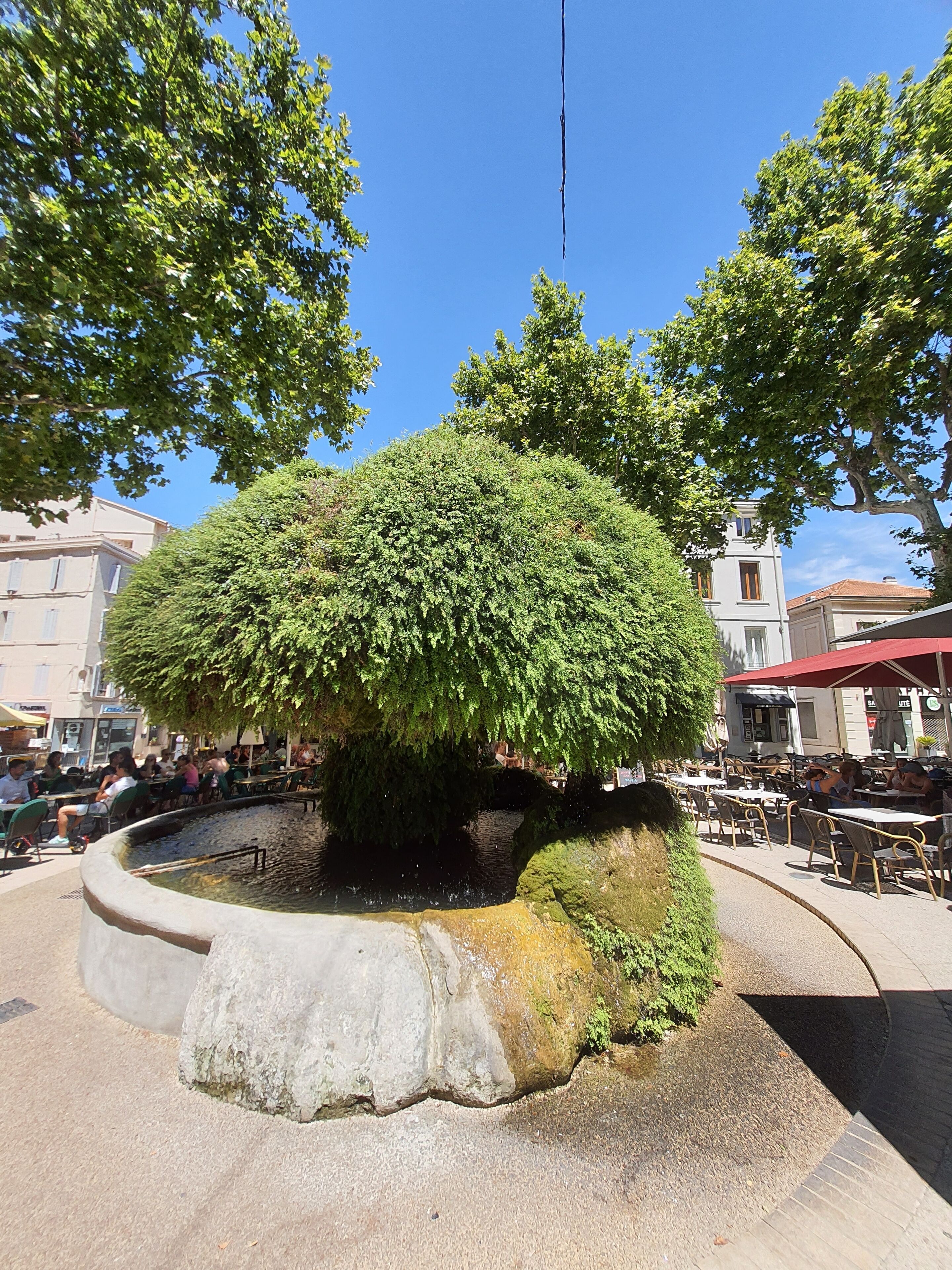 Overnattingsstedets uteområder