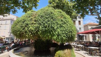 Enceinte de l’hébergement