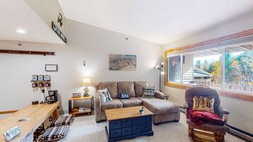 电视、DVD 播放器