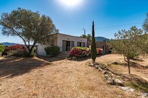 Exterior - La Maison des Oliviers - Belle maison familiale avec Piscine (Occhiatana)
