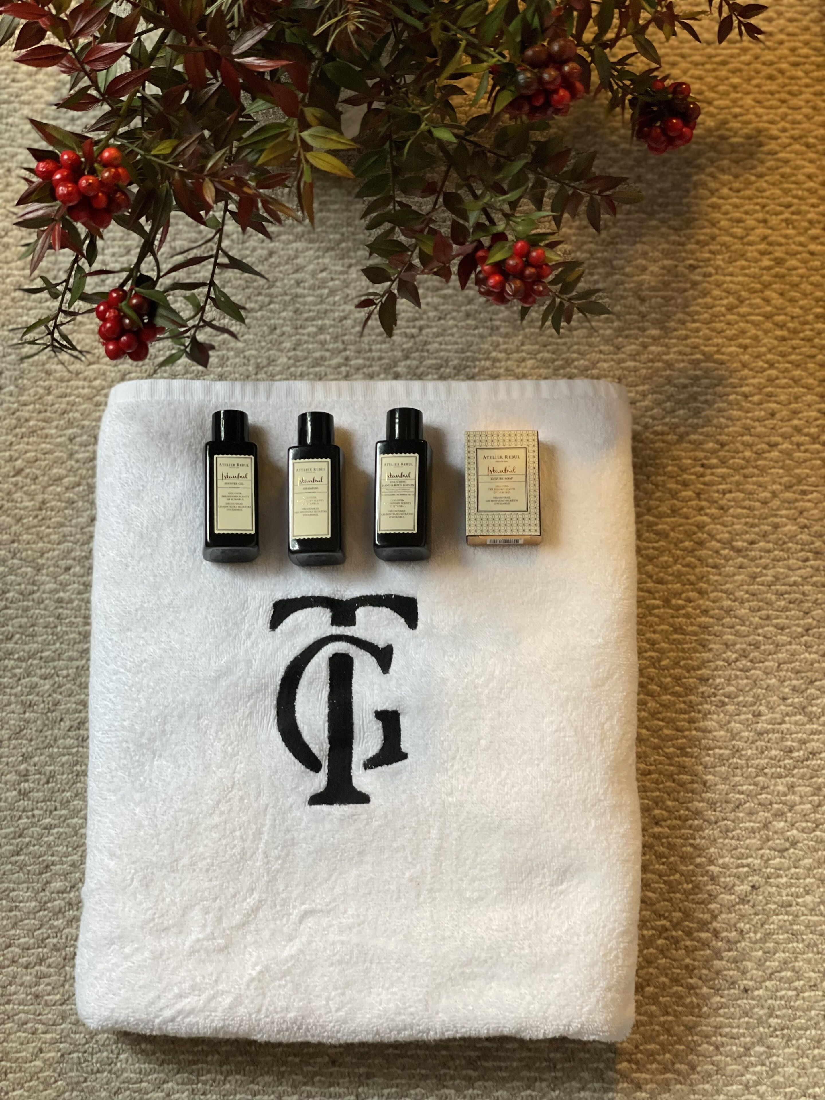 shower, hydromassage showerhead, designer toiletries, hair dryer