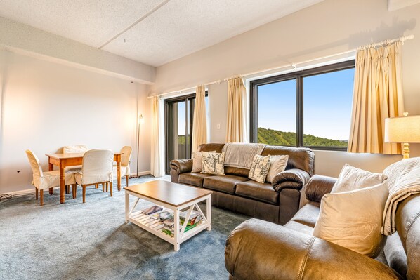 TV, fireplace, books