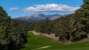 Un campo da golf con un percorso ben definito, circondato da alberi fitti e una montagna sullo sfondo.