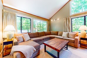 تلفزيون، مدفأة