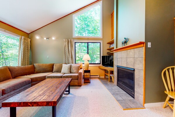 تلفزيون، مدفأة