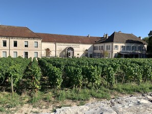 Exterior - Cosy house in the heart of nature, 2 steps from the wine route (Sully)