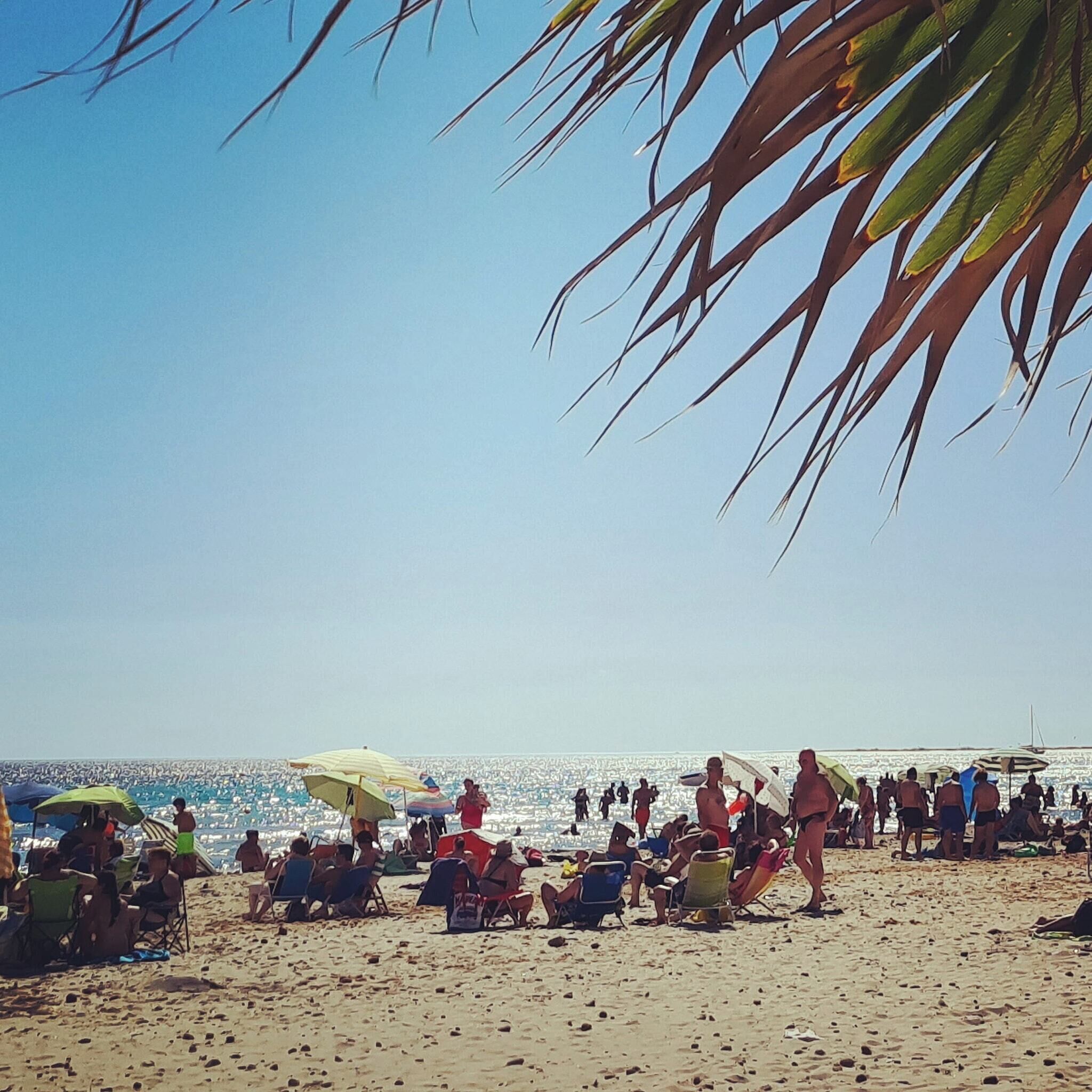 A beach with people relaxing under umbrellas, some sitting on chairs, and others standing.