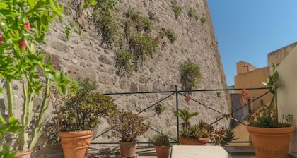 Prestigieuse maison historique avec jardin privé, sous les murs du Chùteau