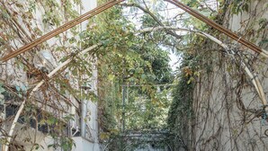 Une ruelle étroite, surmontée d’une arche métallique, agrémentée de plantes en pot et bordée d’un mur rustique.
