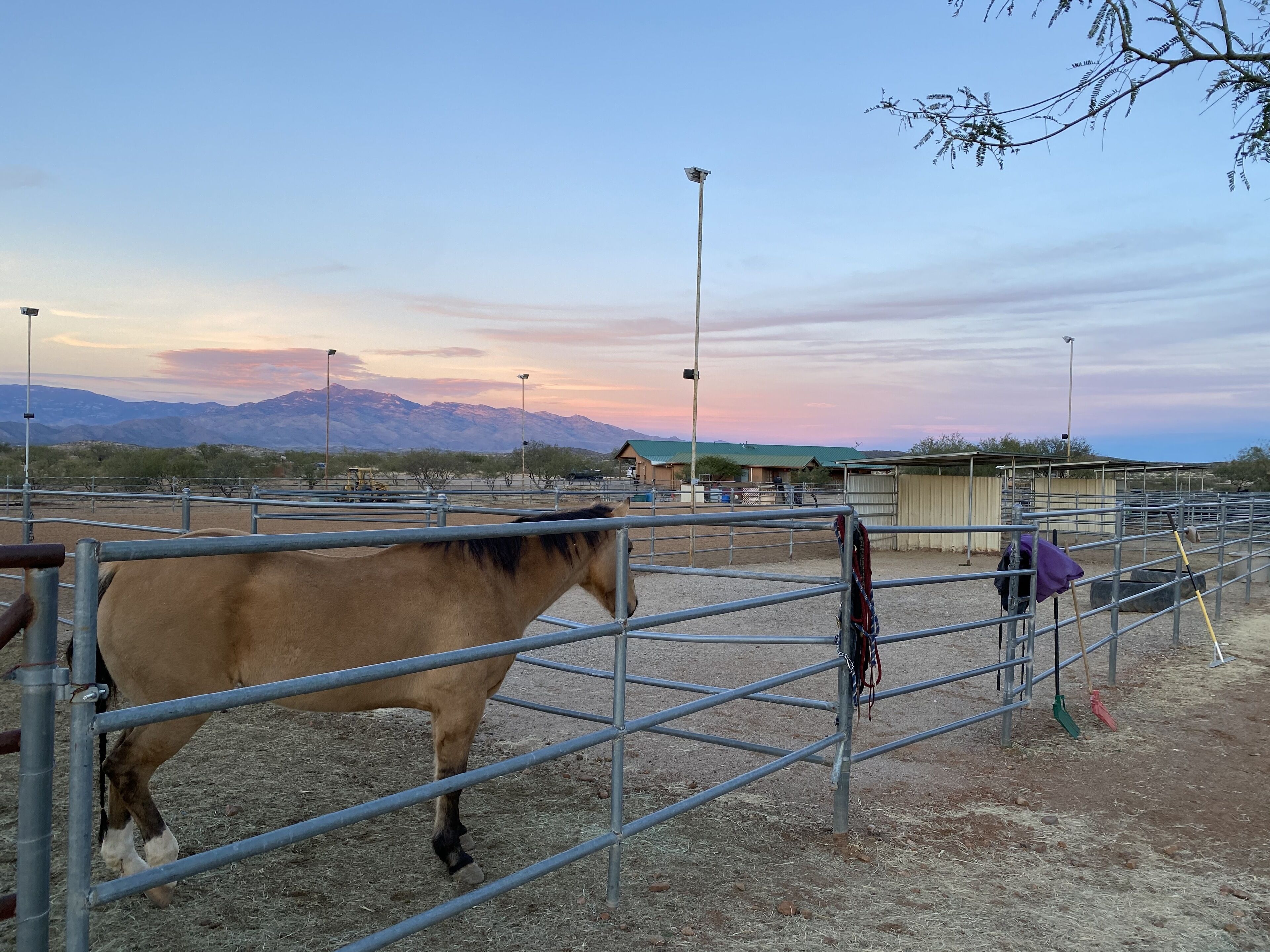 Adorable casita with picturesque mountain views-less than 10 minutes from I-10