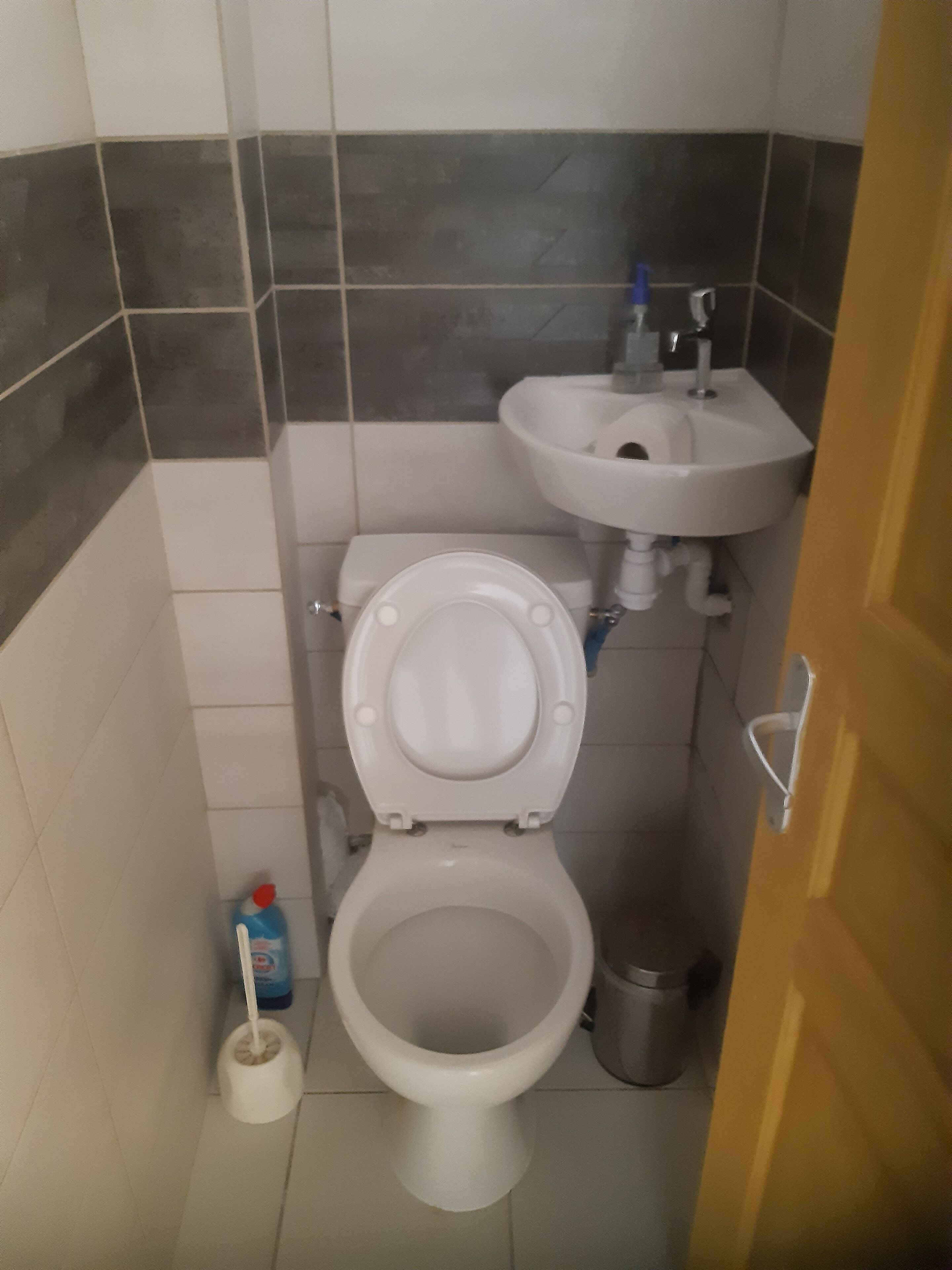 A bathroom with a toilet, sink, and a mop.
