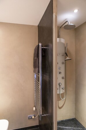Shower, hair dryer, towels, shampoo