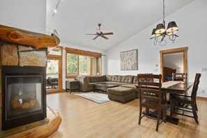 TV, fireplace, books, stereo