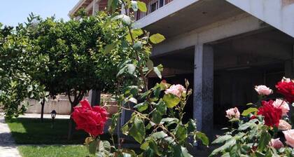 Cottage House Dervini Korinithias with sea view -100m from beach