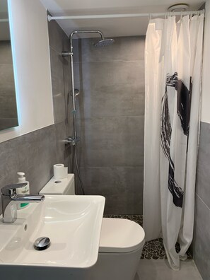 Dusche, Haartrockner, Seife, Toilettenpapier