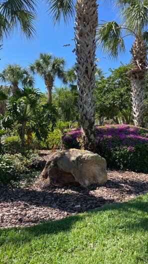 Parco della struttura