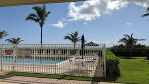 Ein Poolbereich mit umzäunter Terrasse, Palmen und einer Statue.