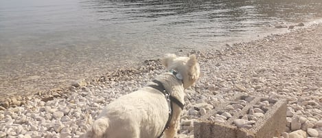 Plage à proximité