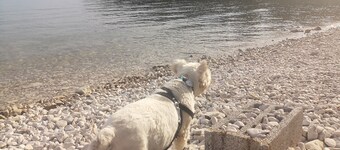 4****apartment near the arena and port. With private parking + Smart TV. Top!