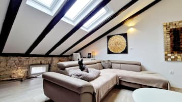 Smart TV, fireplace, books