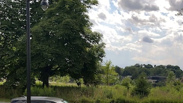 Una escena callejera con dos coches aparcados, un farol y un árbol grande.