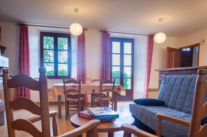 TV, fireplace, books