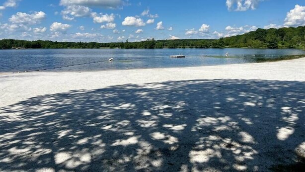 Una playa con cielos despejados y nubes dispersas, un lago tranquilo y una orilla cubierta de bosque.
