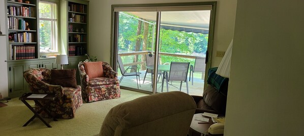 Smart TV, chimenea y libros 