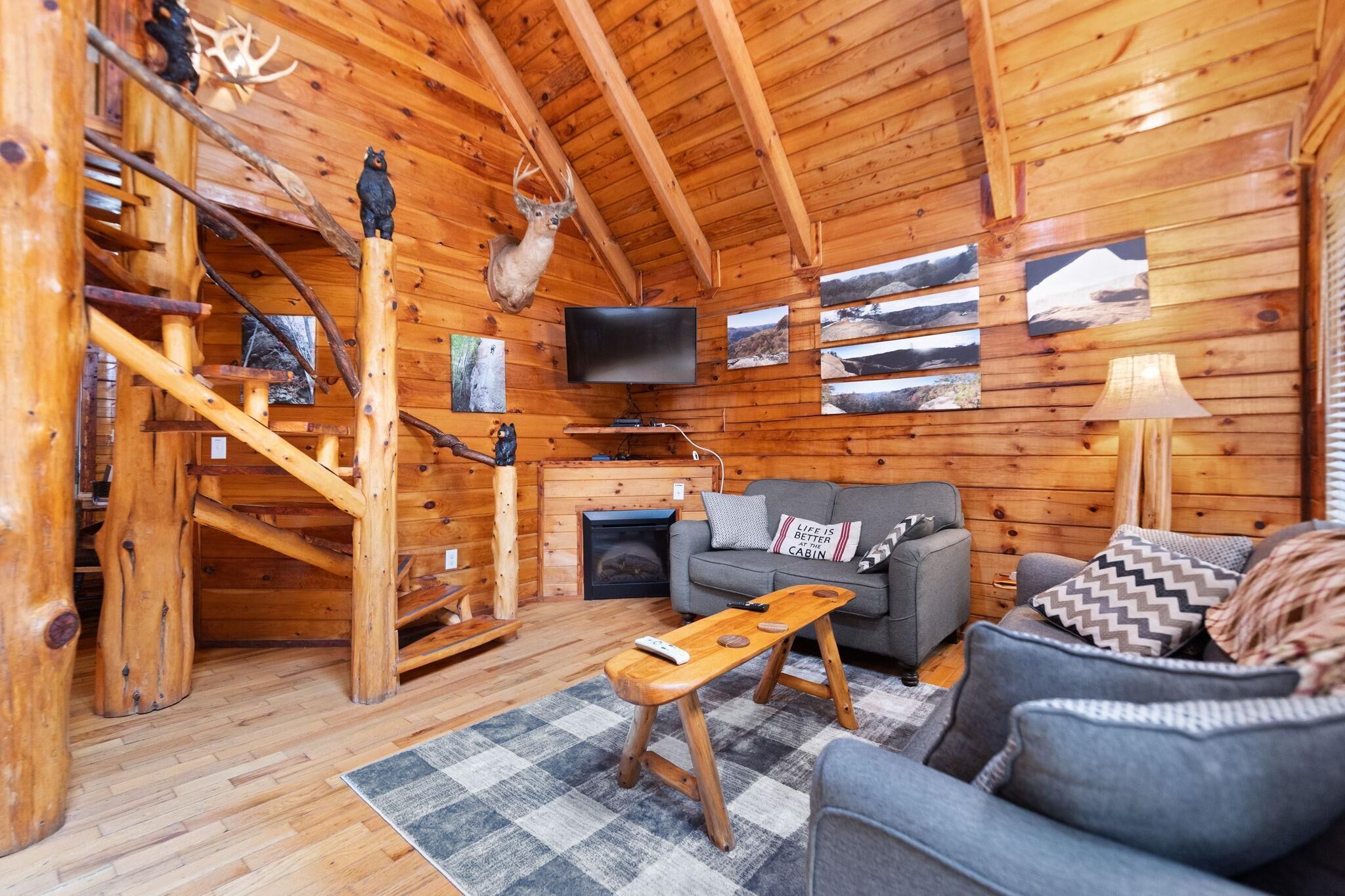 TV connectée, cheminée, lecteur de DVD, chaîne hi-fi