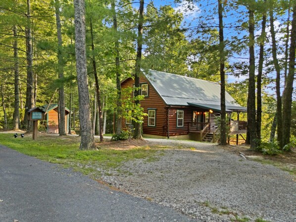 A rustic cabin with a metal roof, surrounded by tall trees. - Phenomenal View! Hot Tub, Pool Table, Bar, Internet, Second Den, Satellite TV (Zoe)