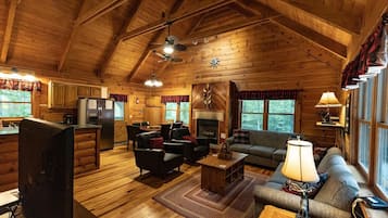 電視、壁爐、DVD 播放機