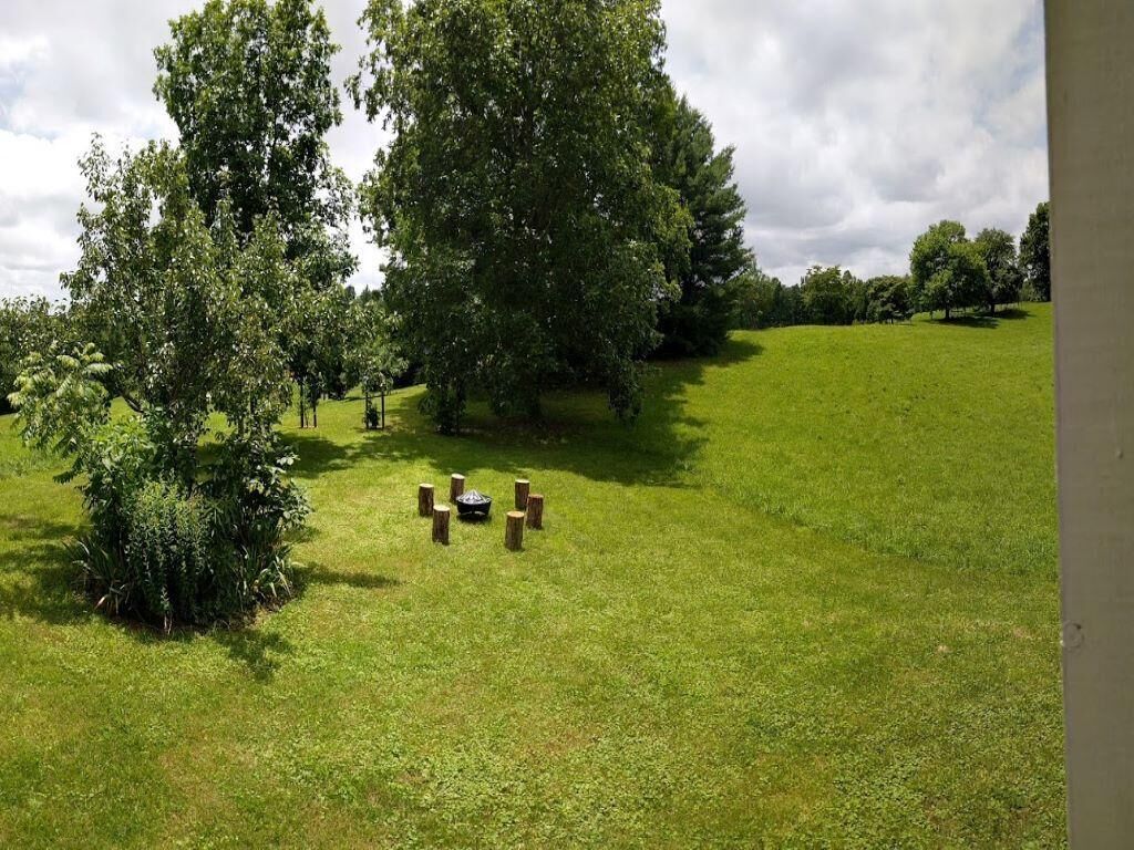 Un espacio al aire libre con césped, árboles y una pequeña estructura de madera.