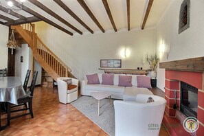 Télévision, cheminée, lecteur de DVD, livres