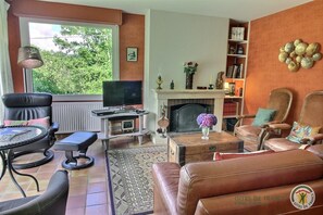 Fernseher, Kamin, DVD-Player, Bücher