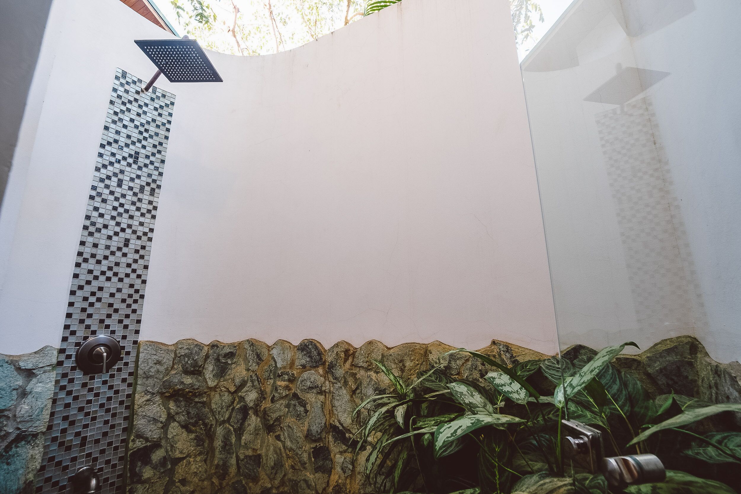 Une salle de bain avec une douche carrelée, un mur en pierre et une plante en pot.