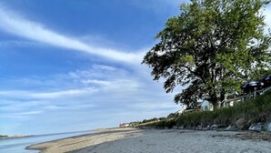 Une plage de sable avec un grand arbre et un bâtiment en arrière-plan.