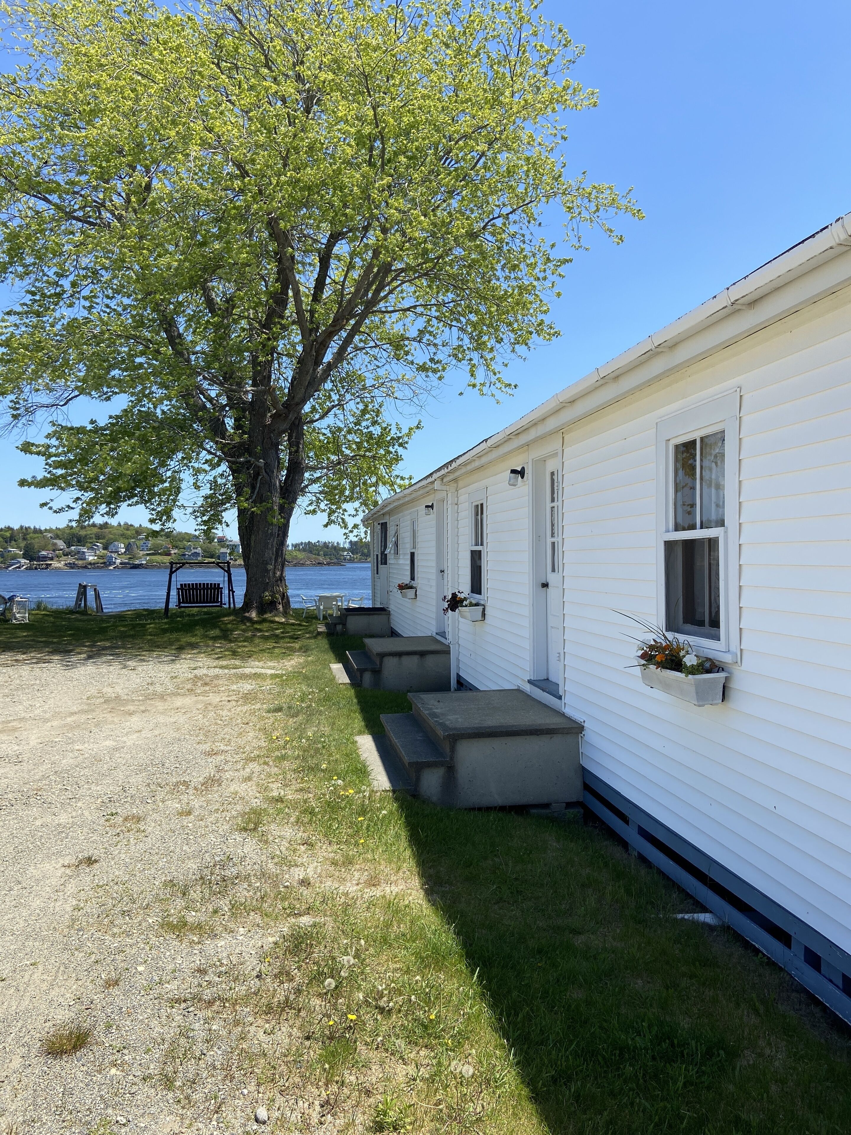 A row of white mobile homes with concrete steps leading to the door, a tree in the foreground, and a body of water in the background.