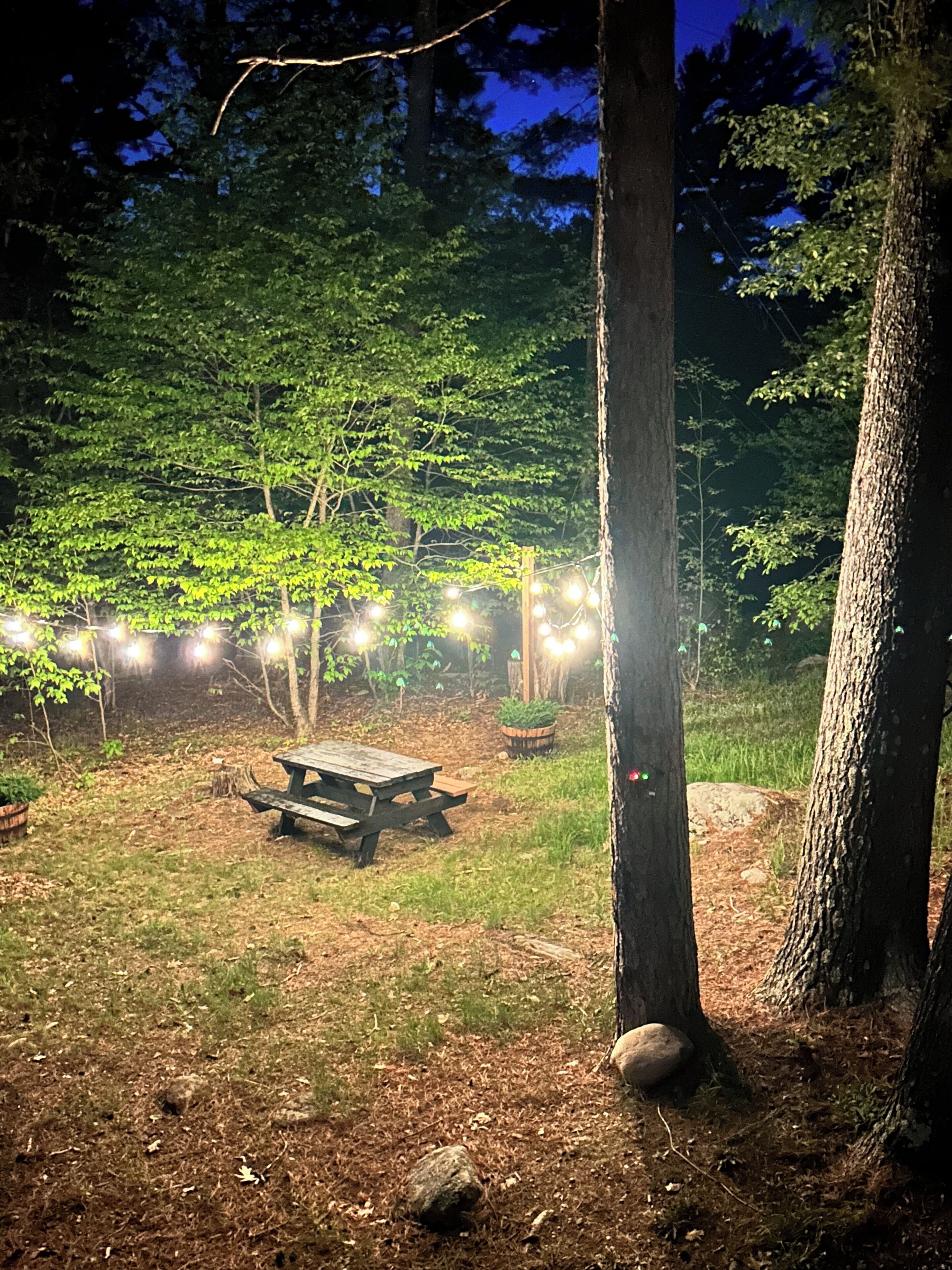 Uma área de piquenique com mesa e bancos de madeira, cercada por árvores e iluminada por luzinhas.